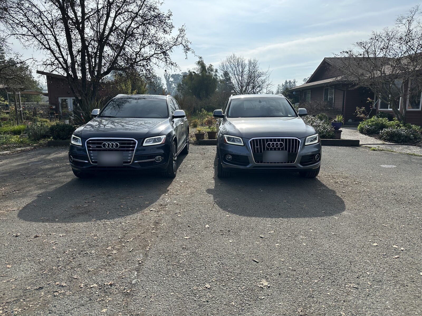 European performance vehicle parked outside N8's Place shop in Penngrove, CA