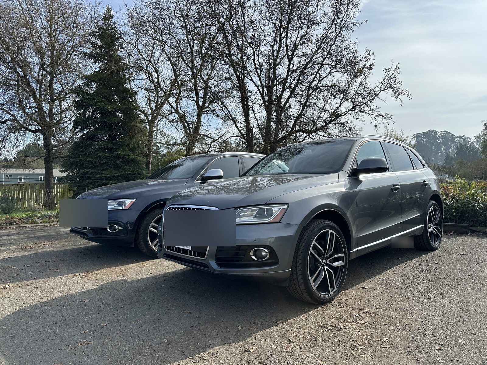 European or EV vehicle serviced at N8's Place, Penngrove — 2